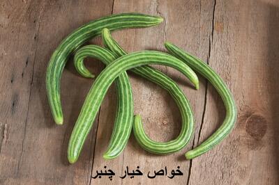 خواص خیار چنبر برای پوست، لاغری، کبد، یبوست، قند خون و دیابت