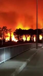 آتش‌سوزی گسترده جنگلی در «گلیبولو» ترکیه