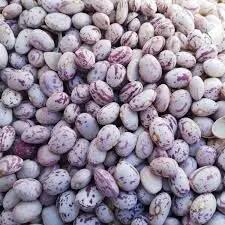 قیمت رسمی لوبیا چیتی اعلام شد (۲۹ شهریور ۱۴۰۴)