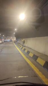 حضور یک اسب وحشی در تونل آزاد راه تهران شمال + فیلم