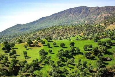 تنگ شدن عرصه بر متجاوزین به  منابع طبیعی استان اردبیل