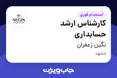 استخدام کارشناس ارشد حسابداری در نگین زعفران