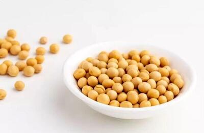 یک پروتئین گیاهی؛ از خواص و فرآورده های متنوع تا موارد احتیاط