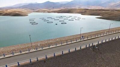 وضعیت نگران کننده منابع آبی در لرستان/ الگوی کشت رعایت نمی‌شود