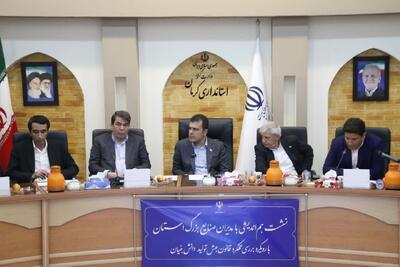 تصویب ۲ هزار میلیارد تومان اعتبار مالیاتی برای اکوسیستم فناوری کرمان