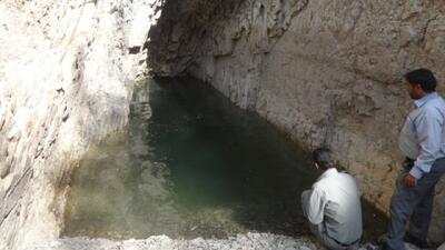 غار ماهی کور، زیستگاه یگانه موجودات بی‌چشم جهان
