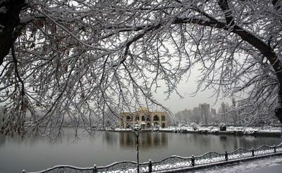 تبریزی ها با برف به استقبال پاییز رفتند