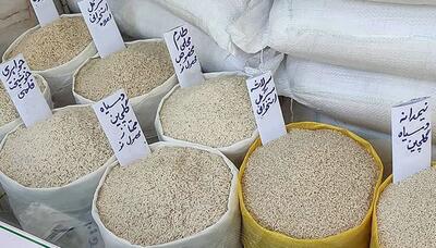 عدم شفافیت و ناهماهنگی در نظام توزیع برنج/ بعید است قیمت برنج امسال به ۴۰۰ هزار تومان برسد