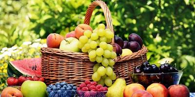 قیمت میوه‌های پاییز مطلوب است