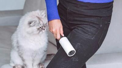 6 روش کاربردی برای پاک کردن موی حیوانات خانگی از لباس‌ها