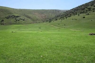۲۶ ایستگاه تولید بذر مرتعی در کشور فعال می‌شود
