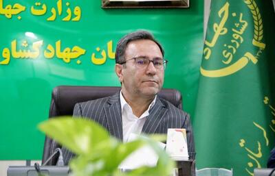 لرستان از پایلوت جهش تولید گوشت قرمز تا  تولید سالانه۳میلیون تن محصولات کشاورزی