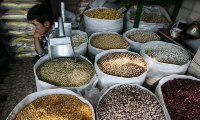 واردات حبوبات راهی برای حمایت از معیشت خانوارهاست