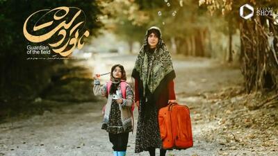 خبر روز | کاتارسیس؛ فیلم ناتوردشت پدیدۀ کم‌یاب سینمای امروز ایران | گلی شی
