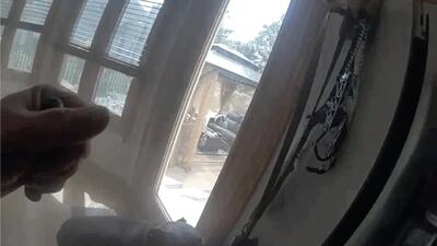 درخواست سگ خانگی از پلیس برای فرار از آتش؛ اول قلاده‌ام را ... | ویدئو