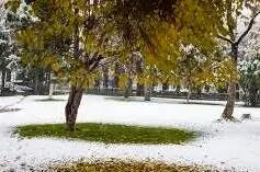 آذربایجان‌غربی با برف به استقبال پاییز رفت