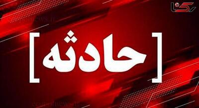 سبقت اشتباه موتورسوار هندی حادثه آفرید! | جهان نیوز