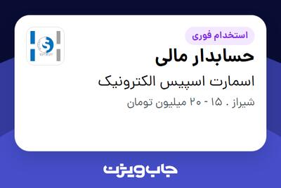 استخدام حسابدار مالی در اسمارت اسپیس الکترونیک
