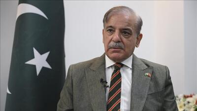 شهباز شریف: پاکستان و هند باید زندگی در کنار هم را بیاموزند