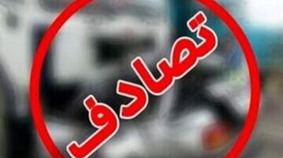 پلیس هشدار داد؛ آماری تلخ از جان‌باختن کودکان در تصادفات - مردم سالاری آنلاین