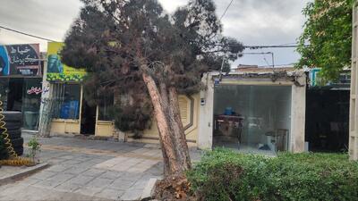 سقوط از درخت گردو در آذرشهر؛ یک مصدوم به بیمارستان منتقل شد