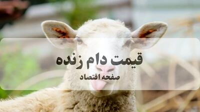 قیمت دام زنده امروز یکشنبه ۳۰ شهریور ۱۴۰۴ + جدول قیمت گوسفند زنده