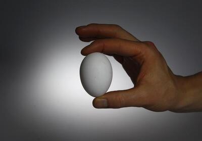 موافقت با افزایش 20 درصدی قیمت تخم مرغ - سلام نو