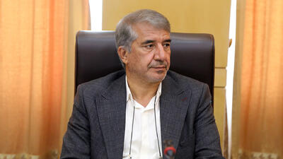 انارکی محمدی: بازگشت ارز صادراتی خشکبار به شبکه نیمایی، تولیدکنندگان را متضرر می‌کند | شفقنا، آخرین اخبار ایران و جهان