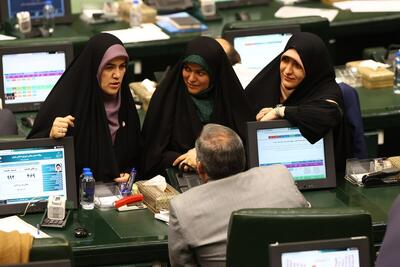لایحه حق عائله مندی بانوان در مجلس مطرح خواهد شد | تعامل دولت و مجلس در تحقق حقوق بانوان