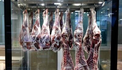 دامپزشکی توزیع گوشت‌های آلوده را تکذیب کرد