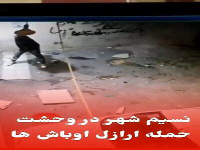 فیلم حمله وحشیانه اوباش به خانه‌ها و خودروها