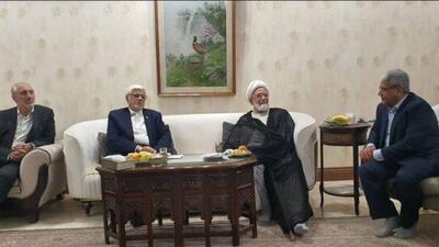 عارف با کروبی دیدار کرد