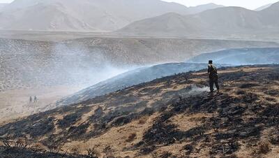 مهار آتش سوزی ۲۰ هکتاری در پارک ملی لار توسط محیط بانان