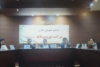 نیرو سرمایه دارایی زیان ده خود را فروخت