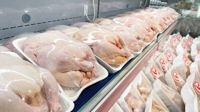 لبه تیز گرانی در قطب تولید مرغ / افزایش بی‌ضابطه قیمت در استان منطقی نیست