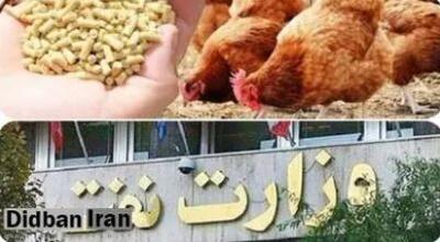 وزیر نفت و بحران مرغ ۲۰۰ هزارتومانی؛به جای ارز وعده تحویل می دهند!