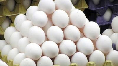 قیمت جدید تخم مرغ اعلام شد