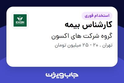 استخدام کارشناس بیمه - خانم در گروه شرکت های اکسون