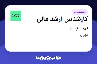 استخدام کارشناس ارشد مالی در بیت پین