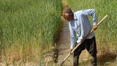 تقویت ارکان بهره‌وری راهکار نجات تولید و تضمین امنیت غذایی است