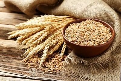 نرخ پیشنهادی خرید گندم توسط بنیاد ملی گندم‌کاران اعلام شد