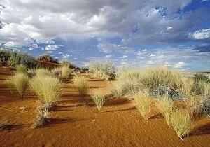 دو سوم اعتبارات بیابان‌زدایی خراسان شمالی تخصیص یافت