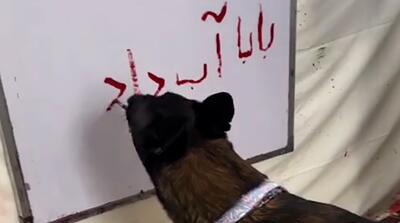 فارسی نوشتن یک سگ: بابا آب داد!