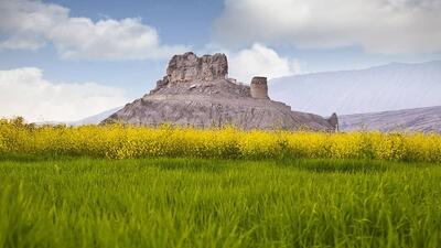 فین در مسیر حفاظت و مرمت مستمر