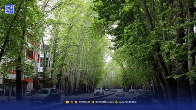 سفر در زمان | خیابان ولیعصر تهران در یک روز برفی؛ دهه 40