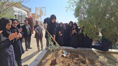 ۴۳۴ پویش درخت‌کاری در خراسان جنوبی اجرا شد