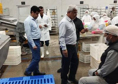  بازدید معاون اقتصادی استاندار از مراکز عمل‌آوری میگو در گمیشان