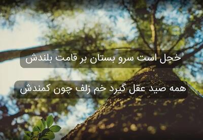 امروز با سعدی: تو که پادشاه حُسنی نظری به بندگان کن