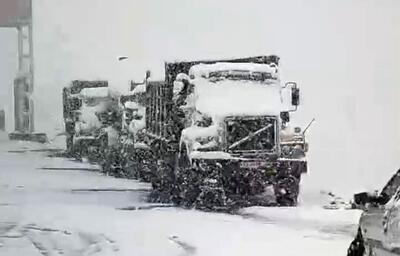 نجات ۱۴ خانوار عشایری گرفتار در برف