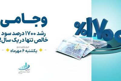 مجمع وجامی برگزار می‌شود/ بیش از ۱۷۰۰ درصد رشد سود خالص نسبت به سال گذشته